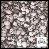 Sticker Tête de Mort Guerrier