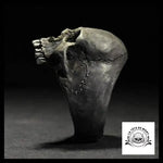 Bague Tête de Mort édenté