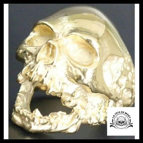 Bague Tête de Mort Relique