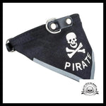 Collier pour Chien & Chat Tête de Mort Classique