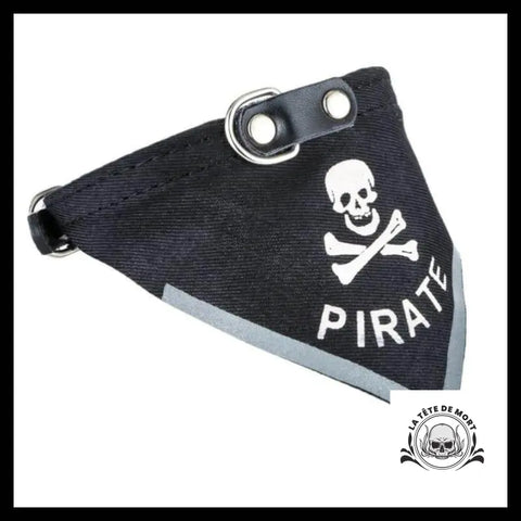 Collier pour Chien & Chat Tête de Mort Classique