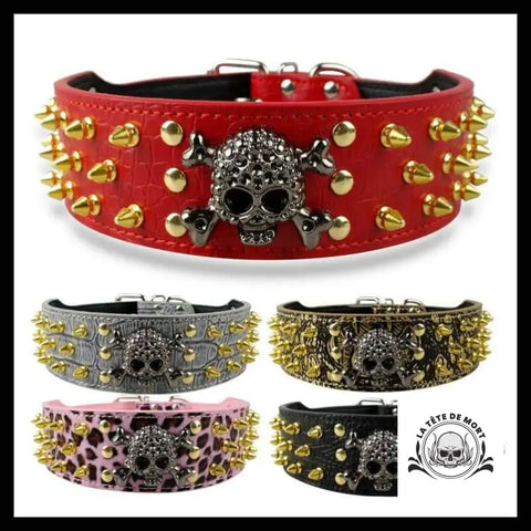 Collier pour Chien Tête de Mort