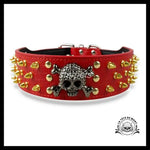 Collier pour Chien Tête de Mort