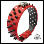Collier pour Chien Tête de Mort
