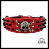 Collier pour Chien Tête de Mort
