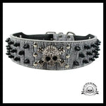 Collier pour Chien Tête de Mort