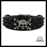 Collier pour Chien Tête de Mort