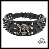 Collier pour Chien Tête de Mort