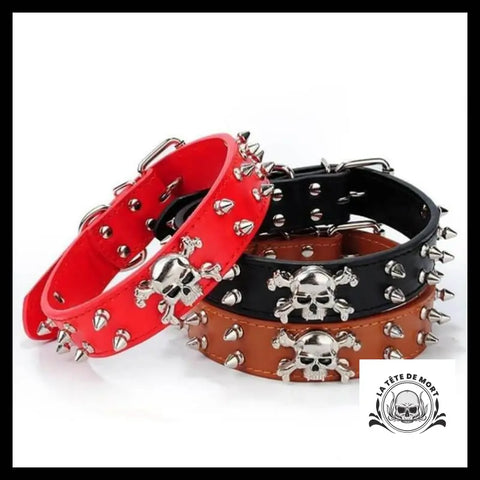 Collier pour Chien Tête de Mort Pics