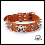 Collier pour Chien Tête de Mort Pics