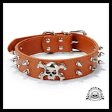 Collier pour Chien Tête de Mort Pics