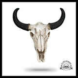 Crâne de Boeuf Décoration