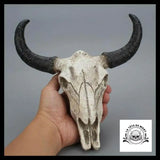 Crâne de Boeuf Décoration