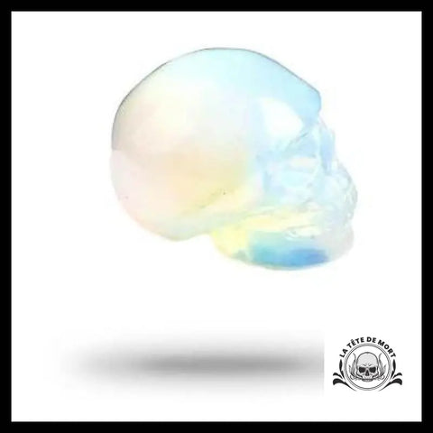 Crâne de Cristal Laubigue