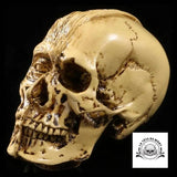 Crâne Déco Halloween