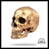Crâne Décoration