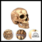 Crâne Décoration