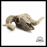 Crâne Décoration Animal