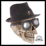 Crâne Humain Décoration