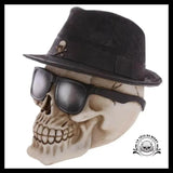 Crâne Humain Décoration