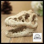 Décoration Aquarium Tête de Mort Crâne Dinosaure