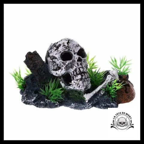 Décoration Aquarium Tête de Mort Plantes