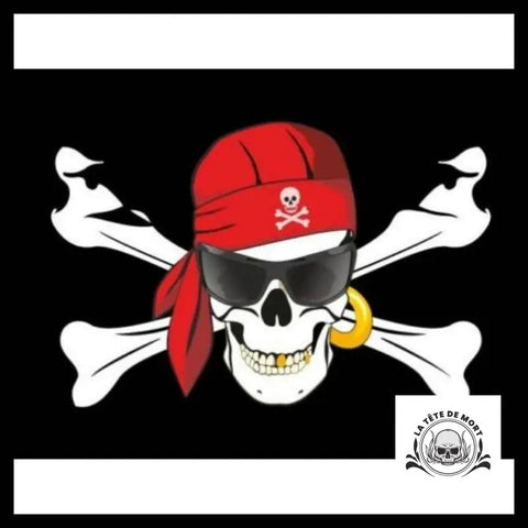 Drapeau Tête de Mort Lunette