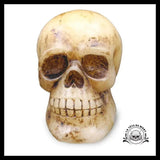 Lampe Skull
