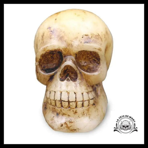 Lampe Skull