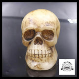 Lampe Skull