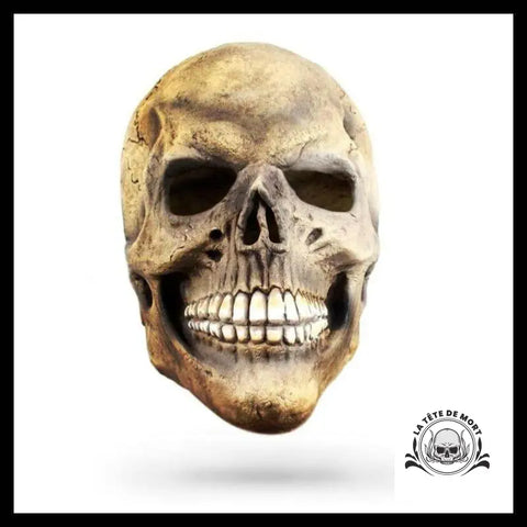 Masque Halloween Visage