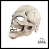 Masque Halloween Visage