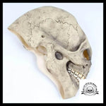 Masque Halloween Visage