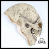 Masque Halloween Visage