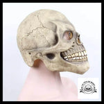 Masque Halloween Visage