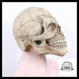 Masque Halloween Visage