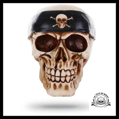 Petit Crâne Décoration