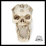 Sculpture Tête de Mort Crâne Art Rangement