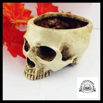 Sculpture tête de Mort Crâne Pot Fleur