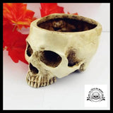 Sculpture tête de Mort Crâne Pot Fleur