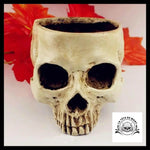 Sculpture tête de Mort Crâne Pot Fleur