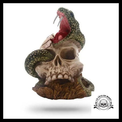 Serpent Déco