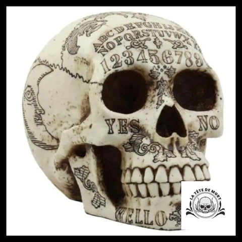 Sticker 3D Crâne
