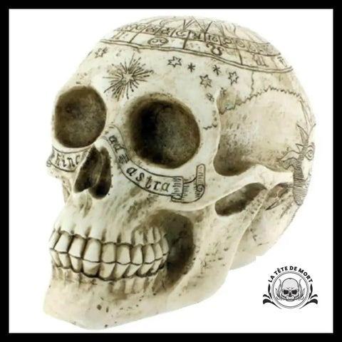 Sticker 3D Tête de Mort
