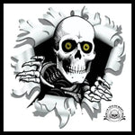 Sticker Squelette