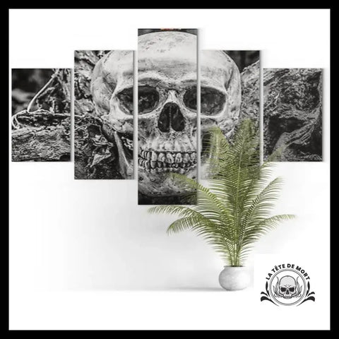 Tableau Crâne Noir Et Blanc