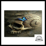 Tapis Tête de Mort Fossile