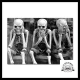 Tapis Tête de Mort Original