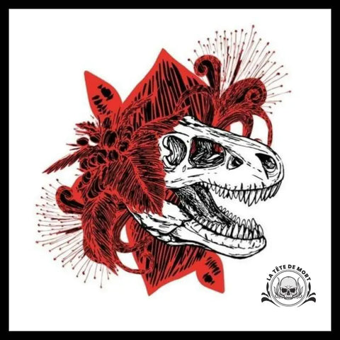 Transfert Crâne Dinosaure