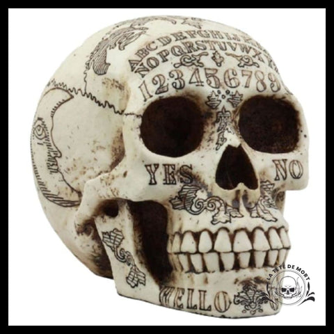 Sticker 3D Crâne